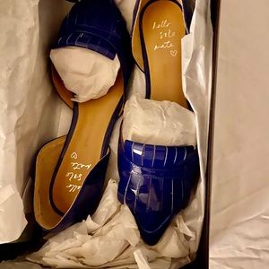 Banana Republic Arielle Flats Brand New